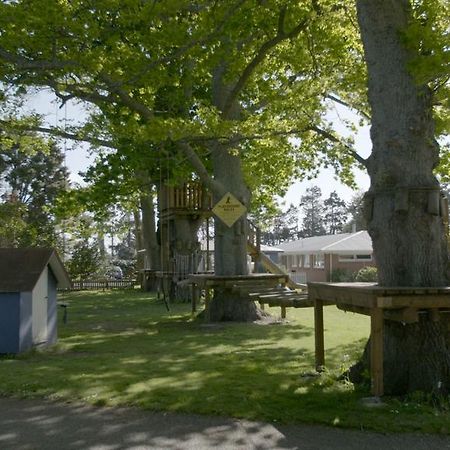 Te Aroha Holiday Park And Motels Exterior foto