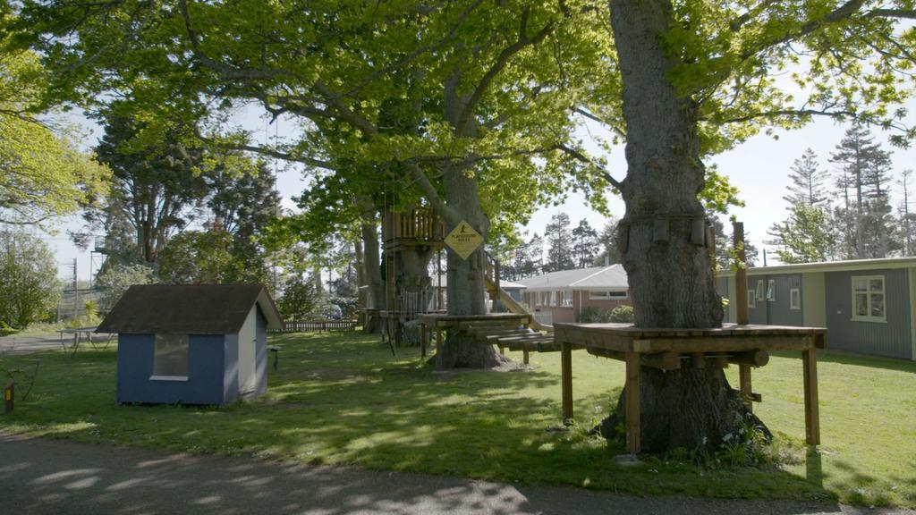 Te Aroha Holiday Park And Motels Exterior foto
