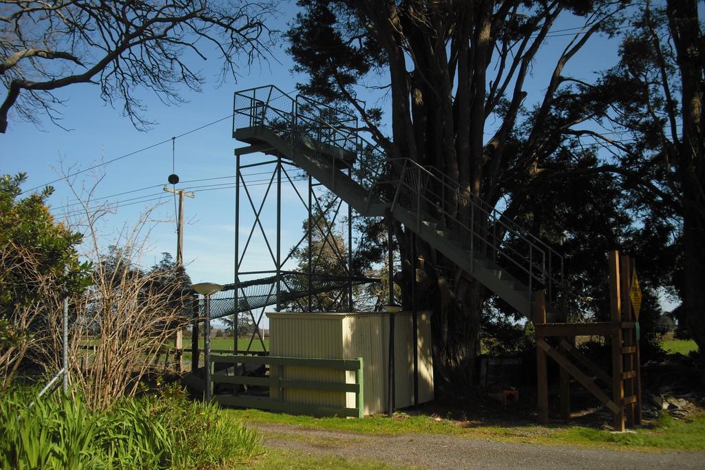 Te Aroha Holiday Park And Motels Exterior foto